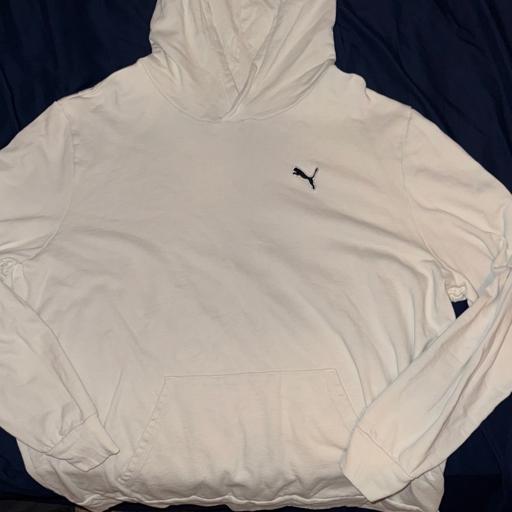 Puma Men's beige Hoodie